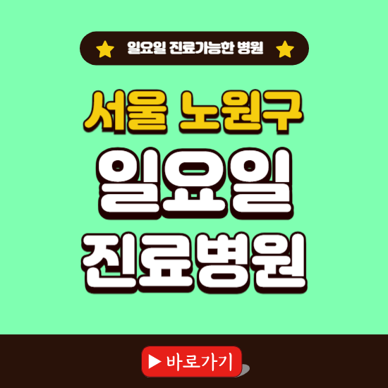 서울 노원구 일요일 진료 가능한 병원 ❘ 주말 문여는 곳 총정리 (소아과, 내과, 안과, 치과, 피부과, 정형외과, 산부인과)