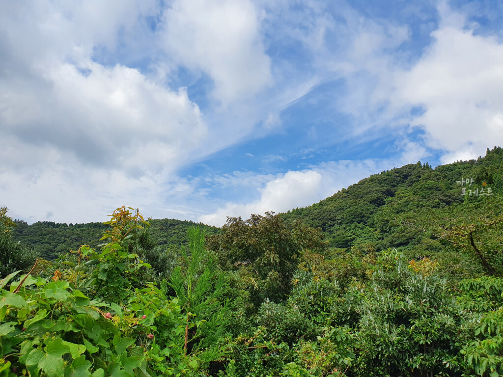 거문오름 분화구 뷰