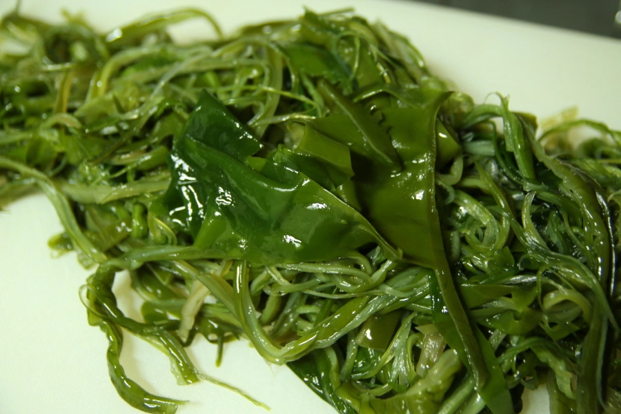 미역줄기 손질 모습