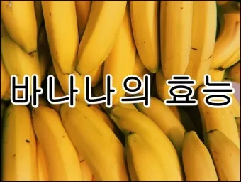 바나나 효능 식이섬유 포만감 운동 전후 효과_12
