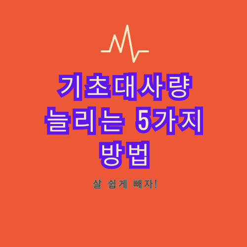기초대사량 증가