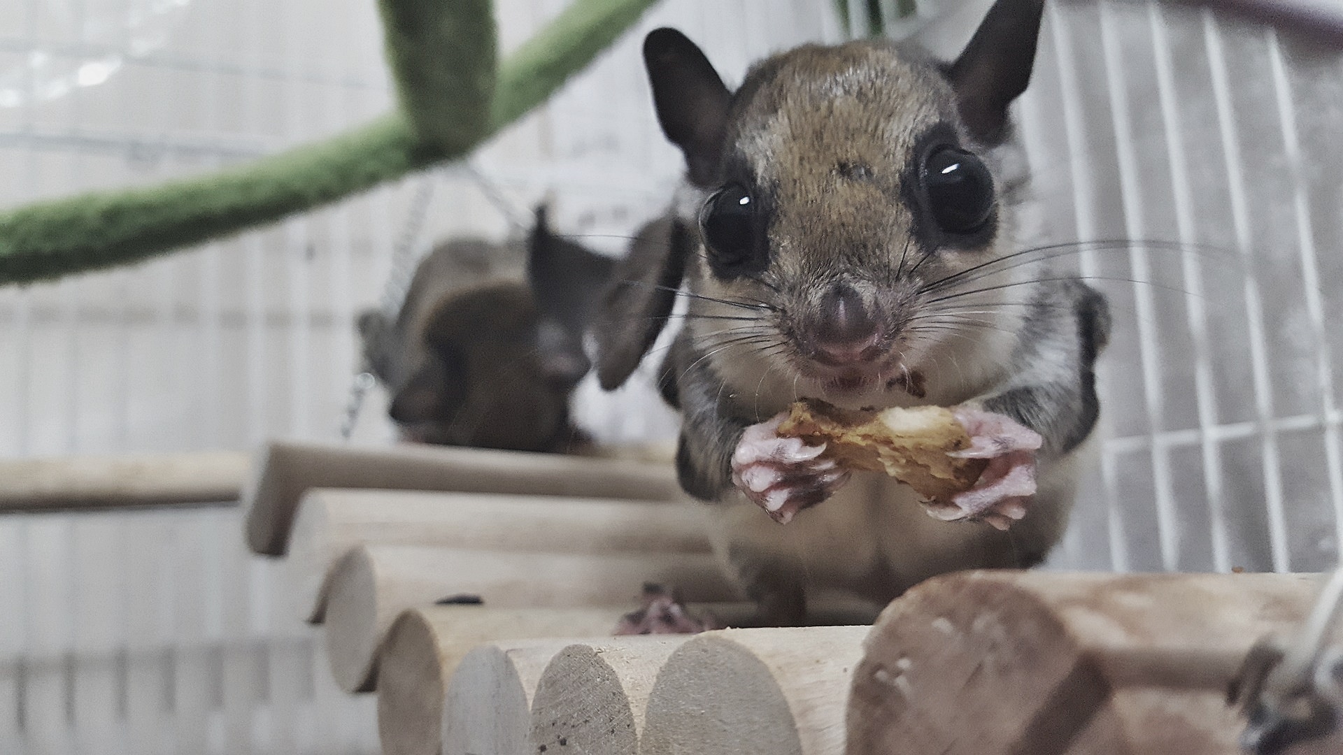 휴면계좌 통합조회 시스템