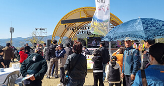 산수유꽃 축제