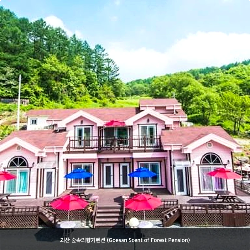 괴산 숲속의향기펜션 (Goesan Scent of Forest Pension)_5