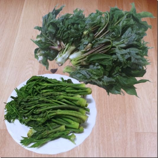 엄나무순 먹는 법과 부작용, 엄나무순 숙회