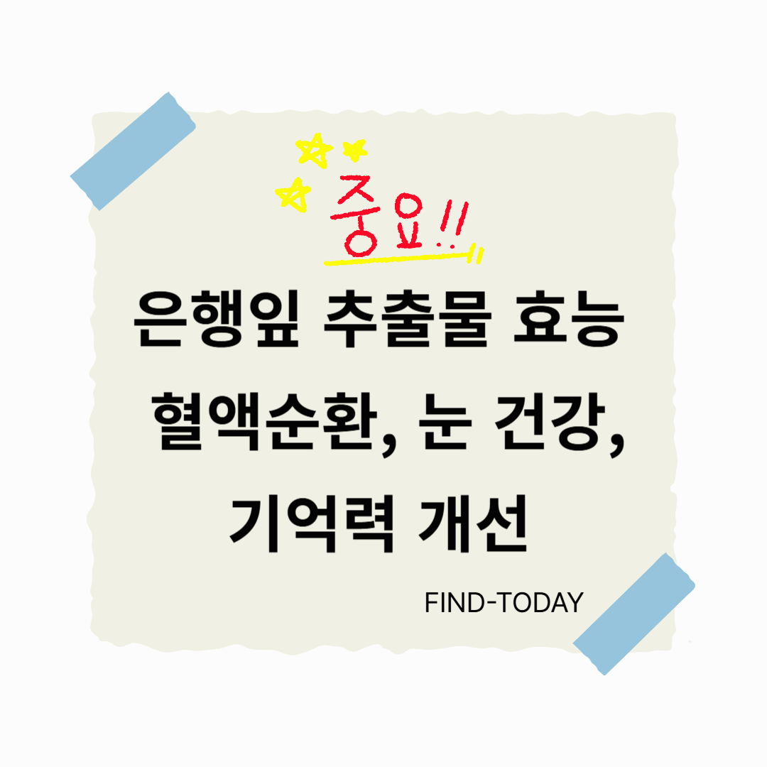 은행잎 추출물 효능 : 혈액순환, 기억력 개선, 눈 건강