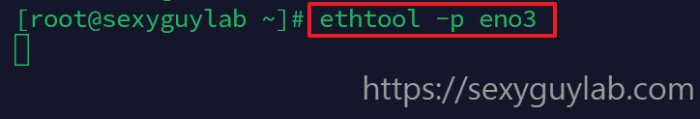 ethtool 명령을 이용한 LAN 포트 위치 찾기