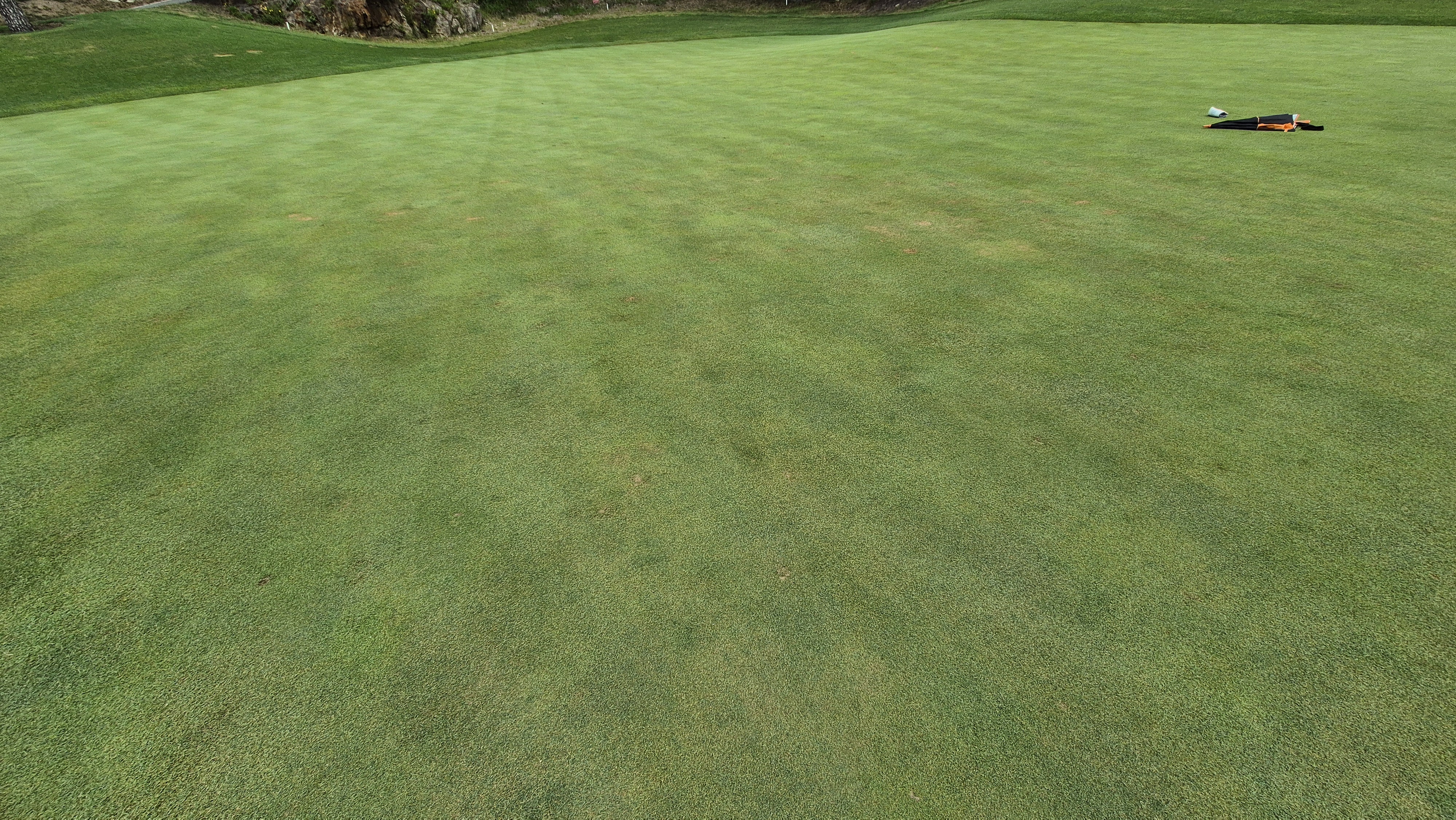 센테리움cc 스코틀랜드-웨일즈 코스 라운드 후기