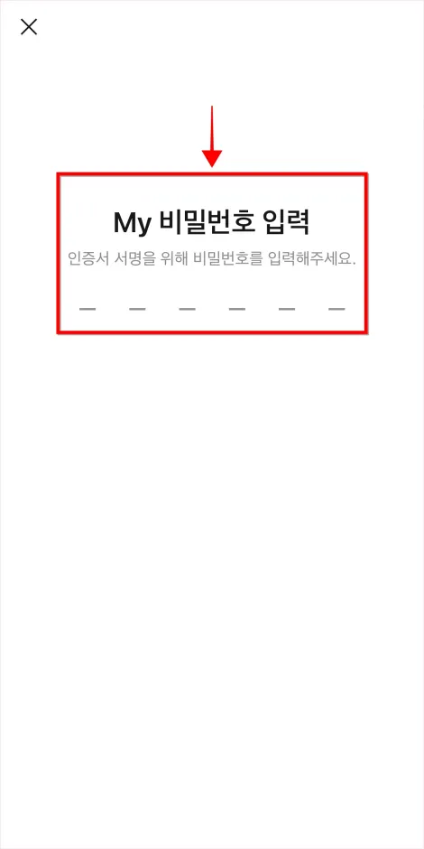 카카오 인증서의 My 비밀번호를 입력