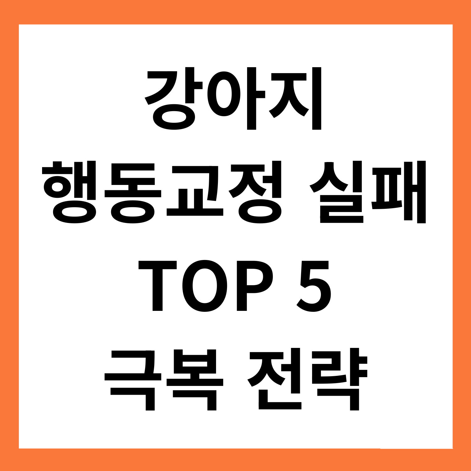 강아지 행동교정 실패 이유 TOP 5와 극복 전략
