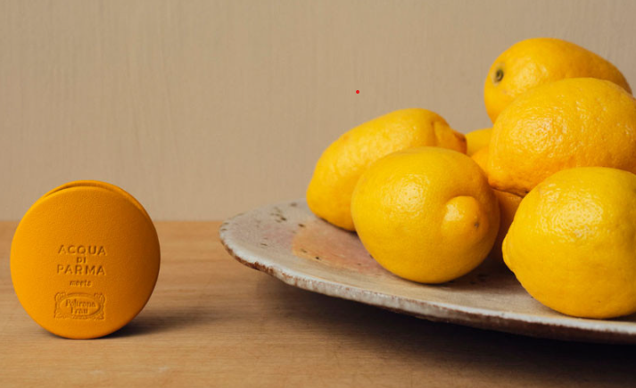 아쿠아디파르마-차량용-방향제2