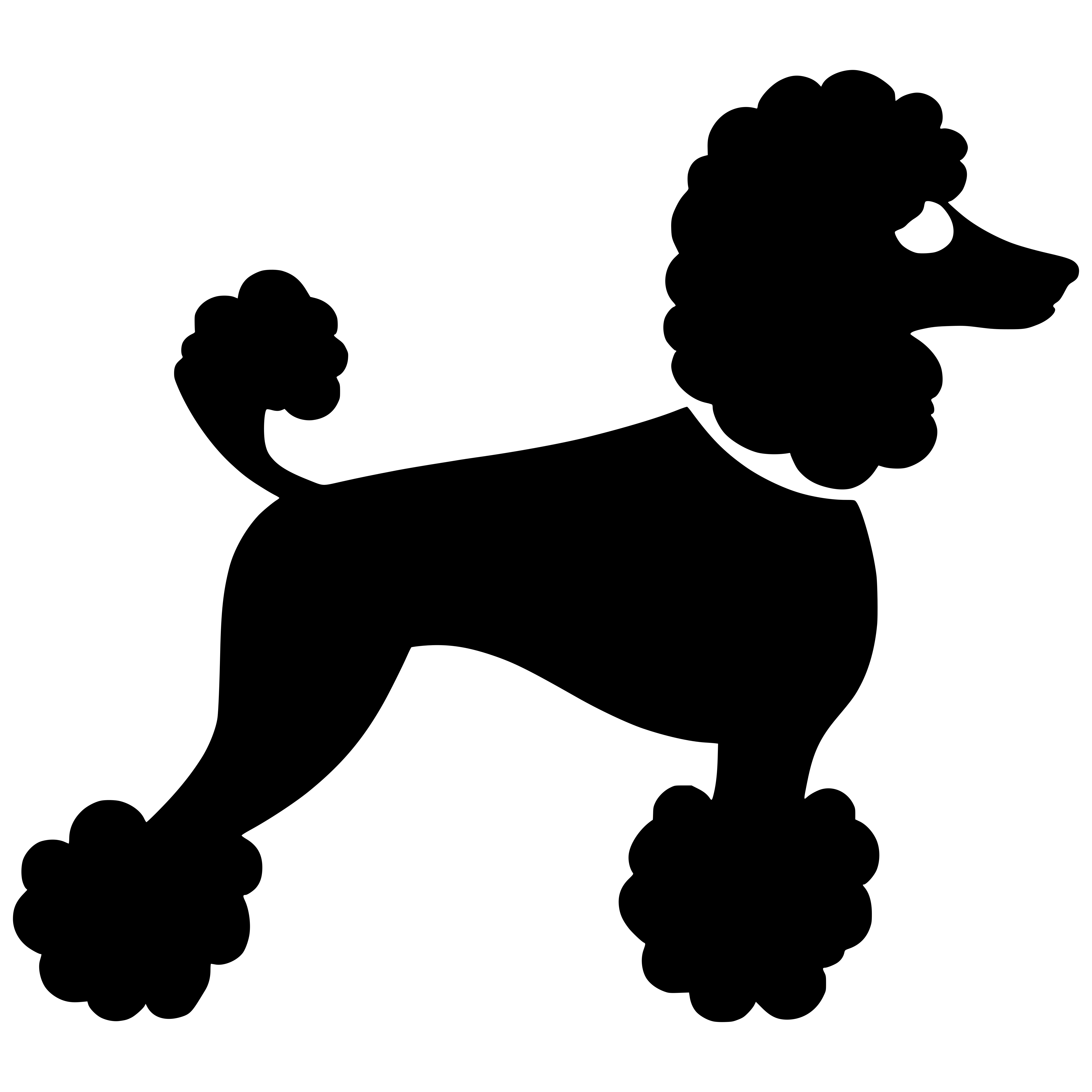 푸들강아지사료추천