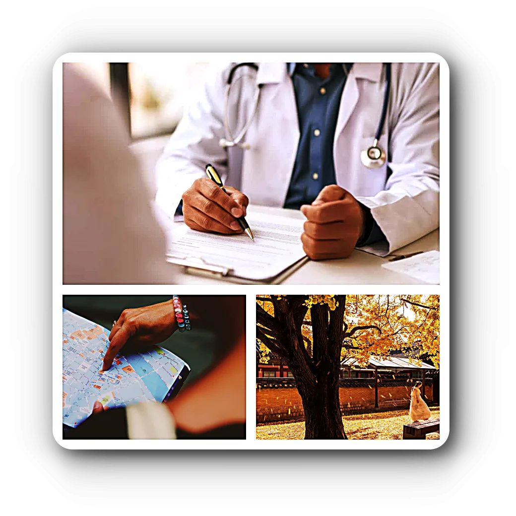 의사-관광 지도-경복궁