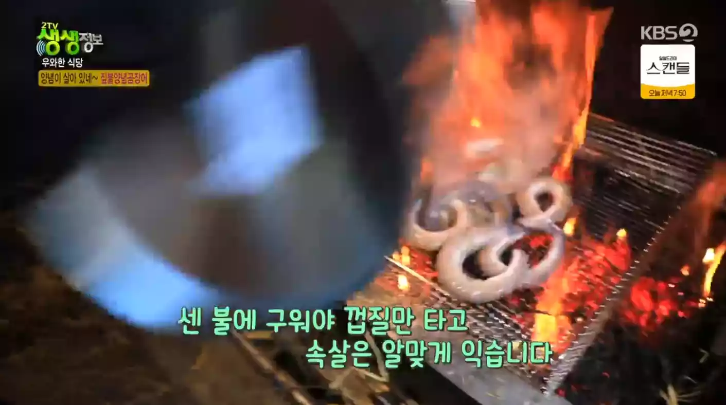 곰장어