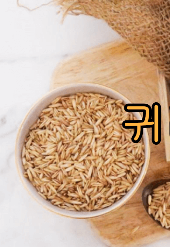 혈당_GI지수_낮은_ 쌀