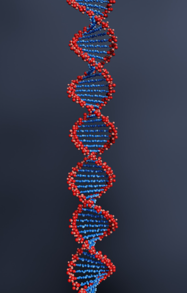 유전자 분석과 치료: 정밀 의료의 핵심 기술