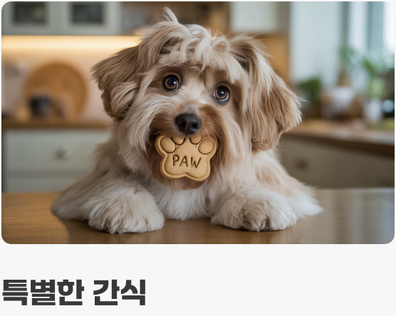 반려견과 함께하는 특별한 하루 만들기