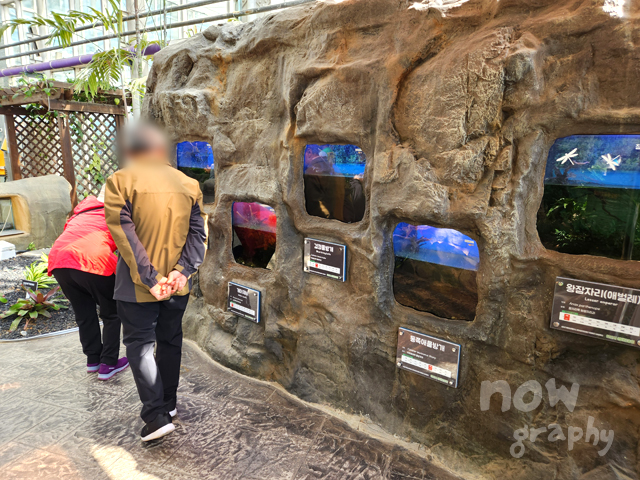 아산시-생태곤충원