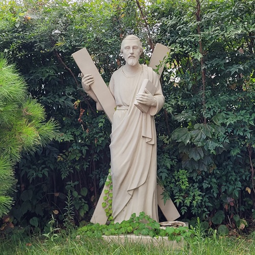 사진은 군산 소룡동성당 안에 있는 성 안드레아 사도 석상입니다. 군산 소룡동성당의 수호성인은 성 안드레아 사도입니다.