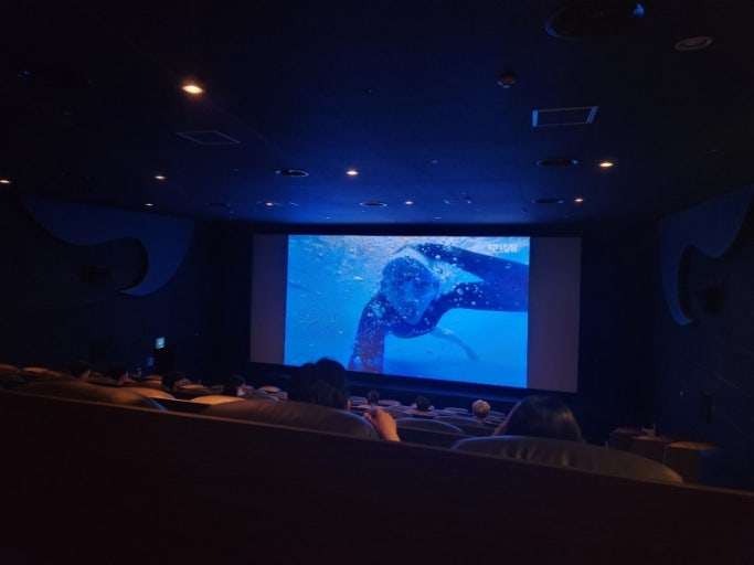 영화 사진