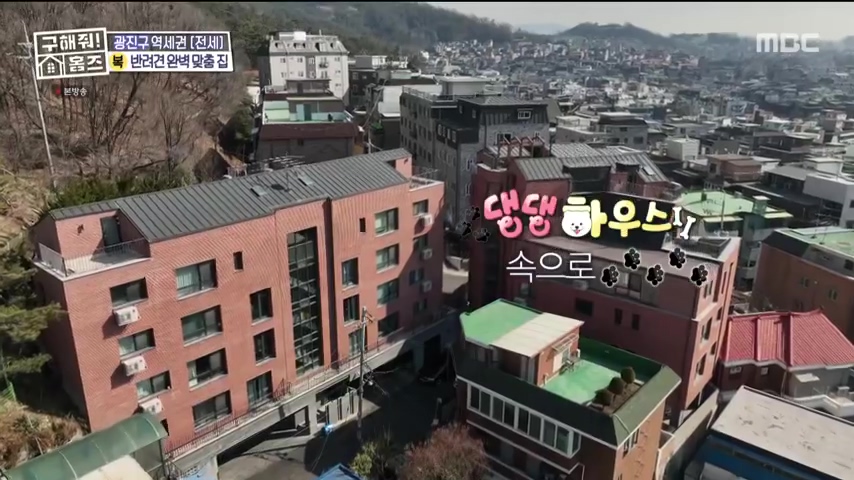 구해줘홈즈 댕댕하우스 동물병원 인접 서울시 광진구 중곡동 전세 매매 매물 가격 및 구조 인테리어 리모델링 최종선택 더보이즈 영훈 현재 소개