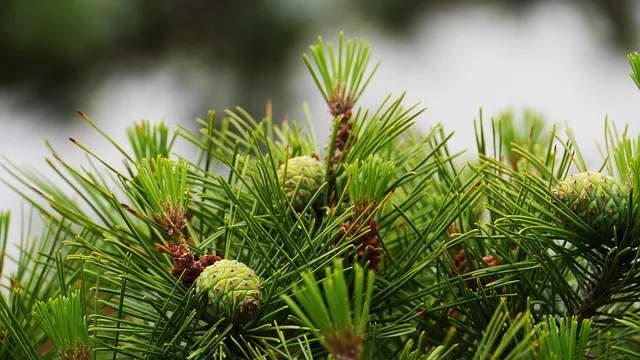 풍경 사진 잘 찍는 방법 꿀팁_1