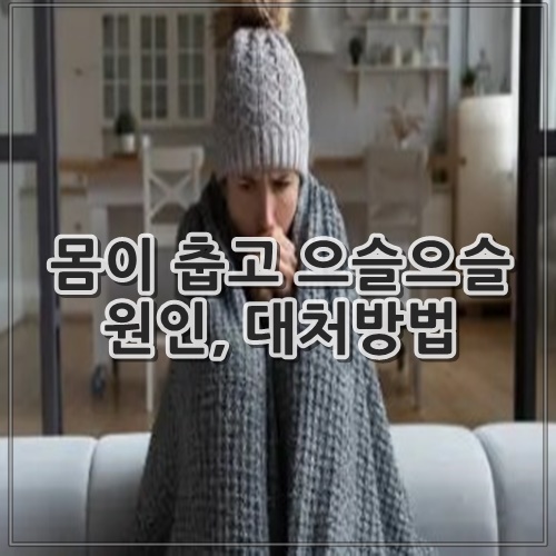 몸이 춥고 으슬으슬 원인, 대처방법
