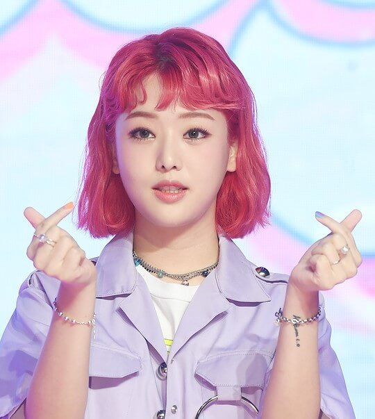 시흥 거북섬 해양축제 밤페스티벌