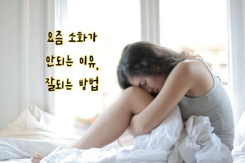 요즘 소화가 안되는 이유&#44; 잘되는 방법