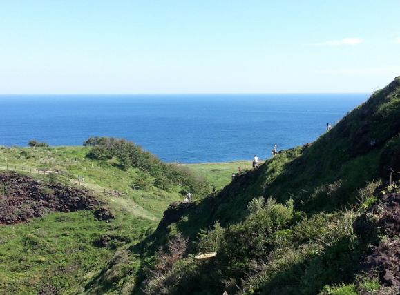 혼자가 더 좋은 국내여행 힐링 스팟