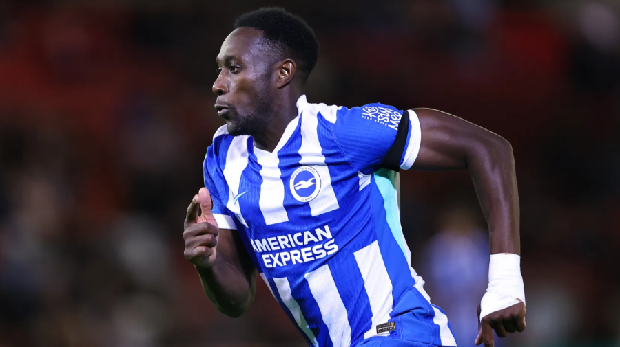 대니 웰벡 사진