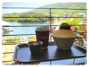 고모리691
