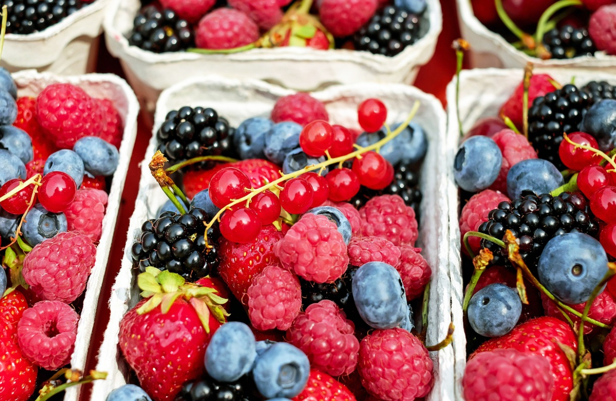 신장 건강에 좋은 먹거리 과일