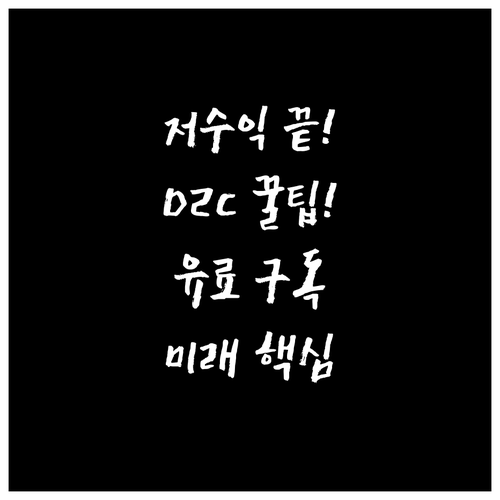 숏폼 저수익 한계 극복, D2C와 유..
