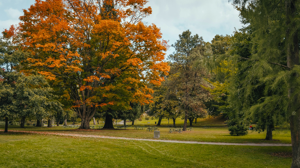 한난조습(寒暖燥濕)