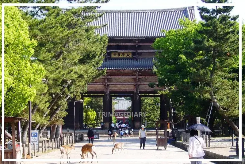 도다이지-사원