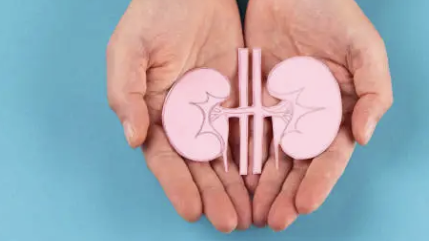 단백뇨의 원인 17