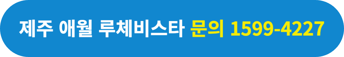 제주 애월 타운하우스 문의