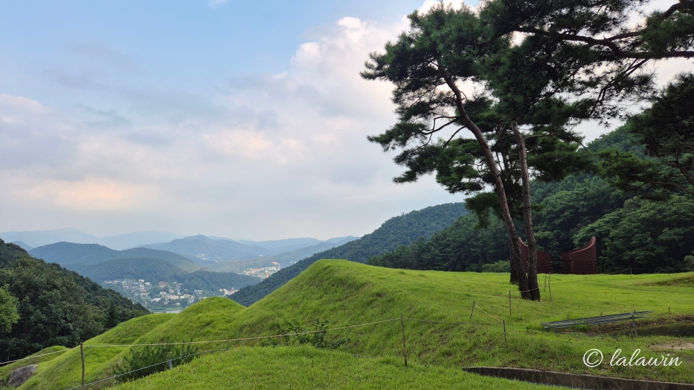 남양주 금선사 잔디밭 조경