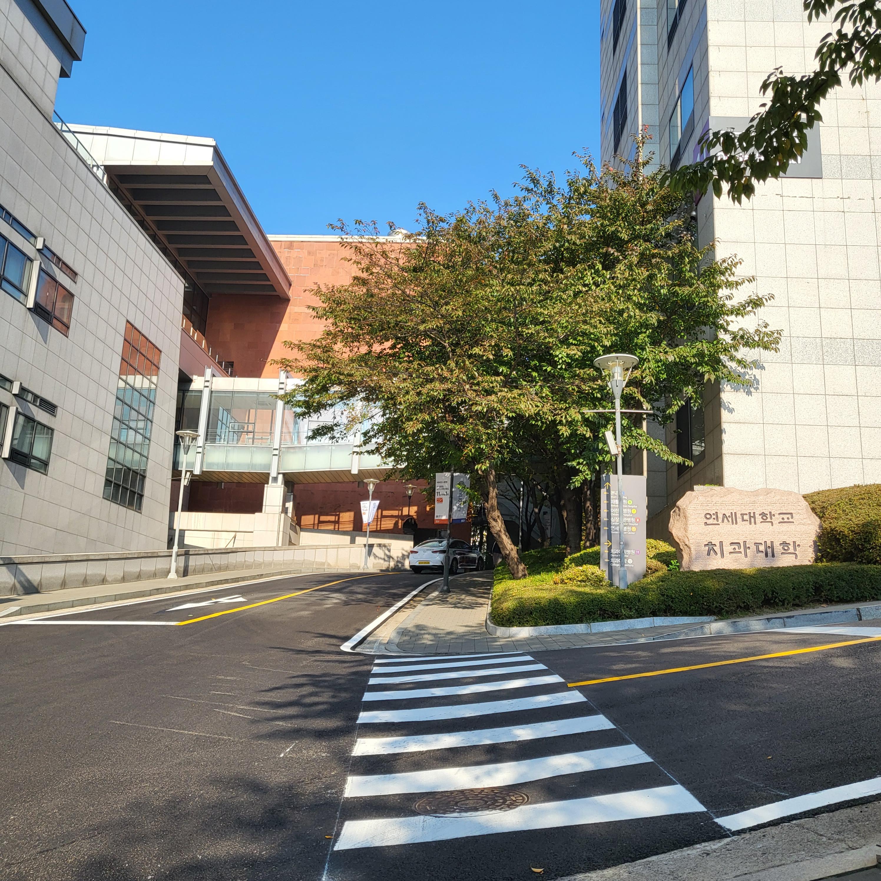 연세대학교 치과대학