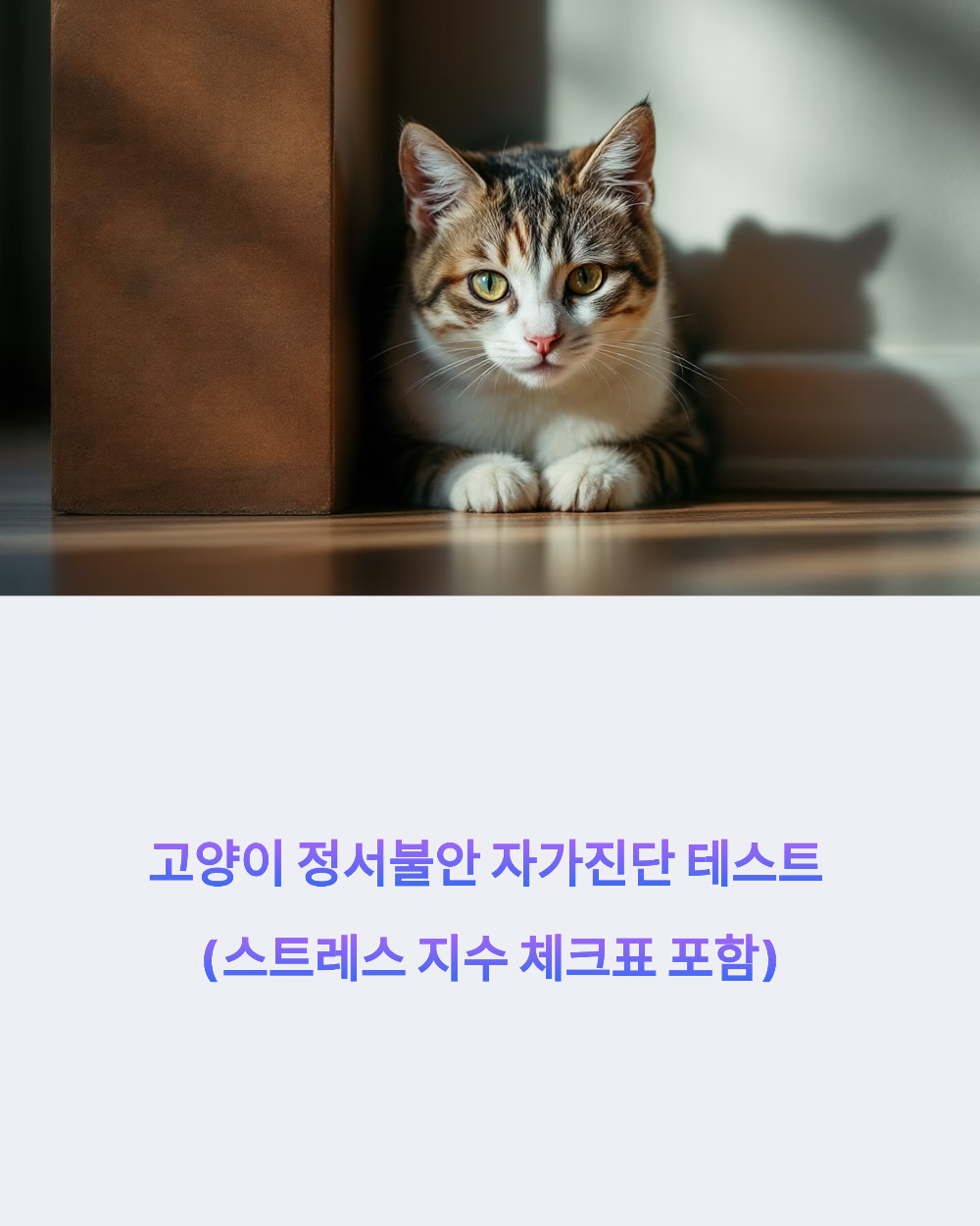 고양이 정서불안 자가진단 테스트 (스트레스 지수 체크표 포함)