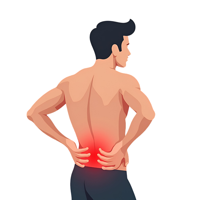 신경근육 관련 일러스트