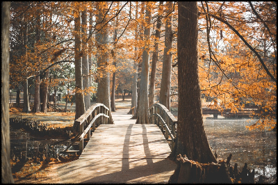 사춘기 형제들과 명절 보내는 팁 (형제, 가족행사, 소통)