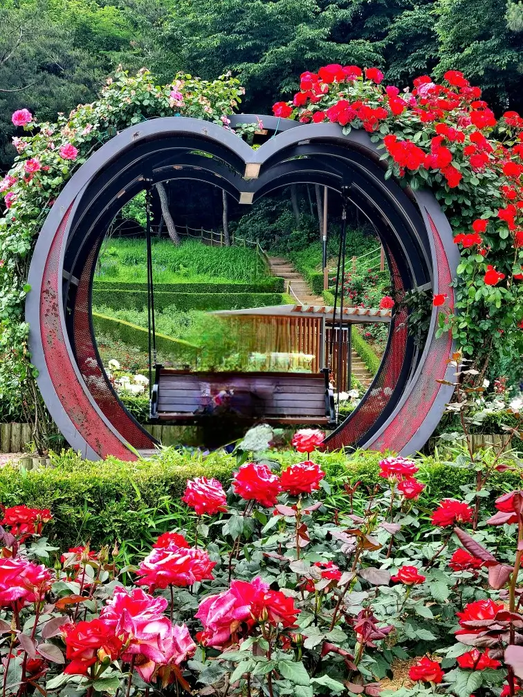 2024 부천 백만송이 장미원 축제 중: 개화 현황, 포토존, 쉼터, 화장실, 주차, 대중교통