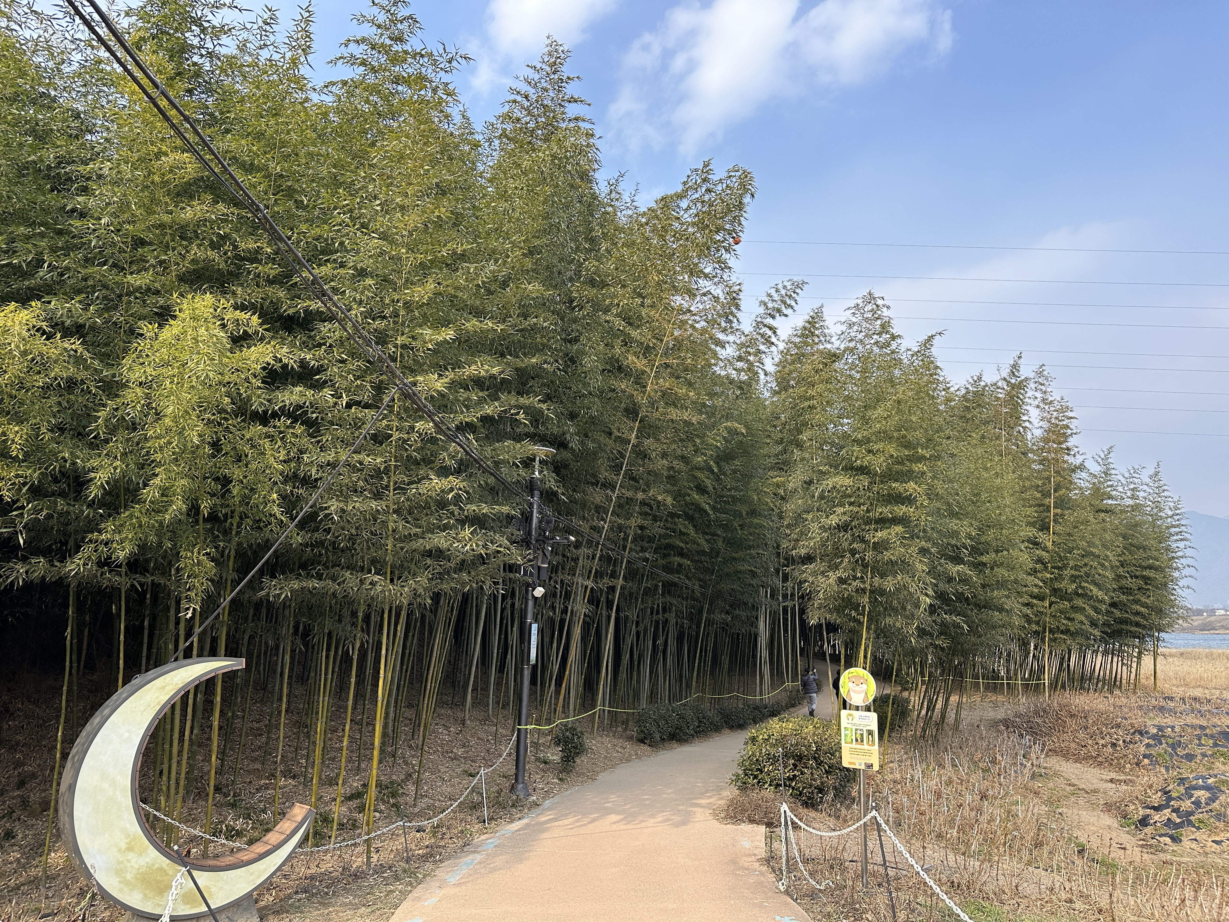 섬진강 대나무숲길