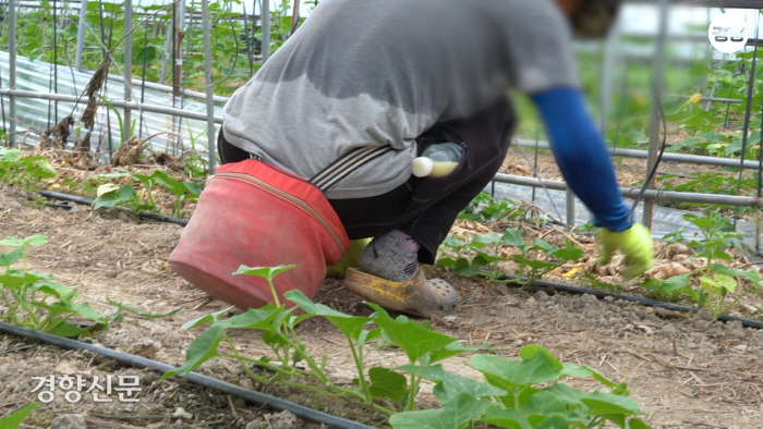 ☀️ 역대급 폭염, 비닐하우스 온열질환 사망자 증가! 부모님께 지금 전화하세요