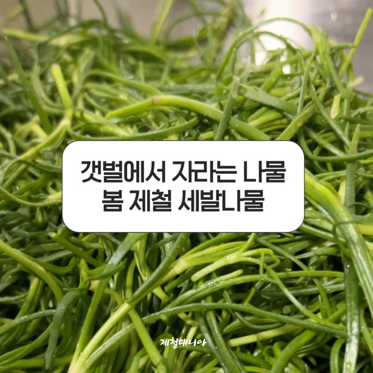 제철음식