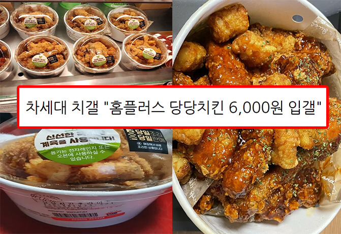 현재 대박난 홈플러스 당당치킨 근황 (+온라인 구매방법,배달,가격)