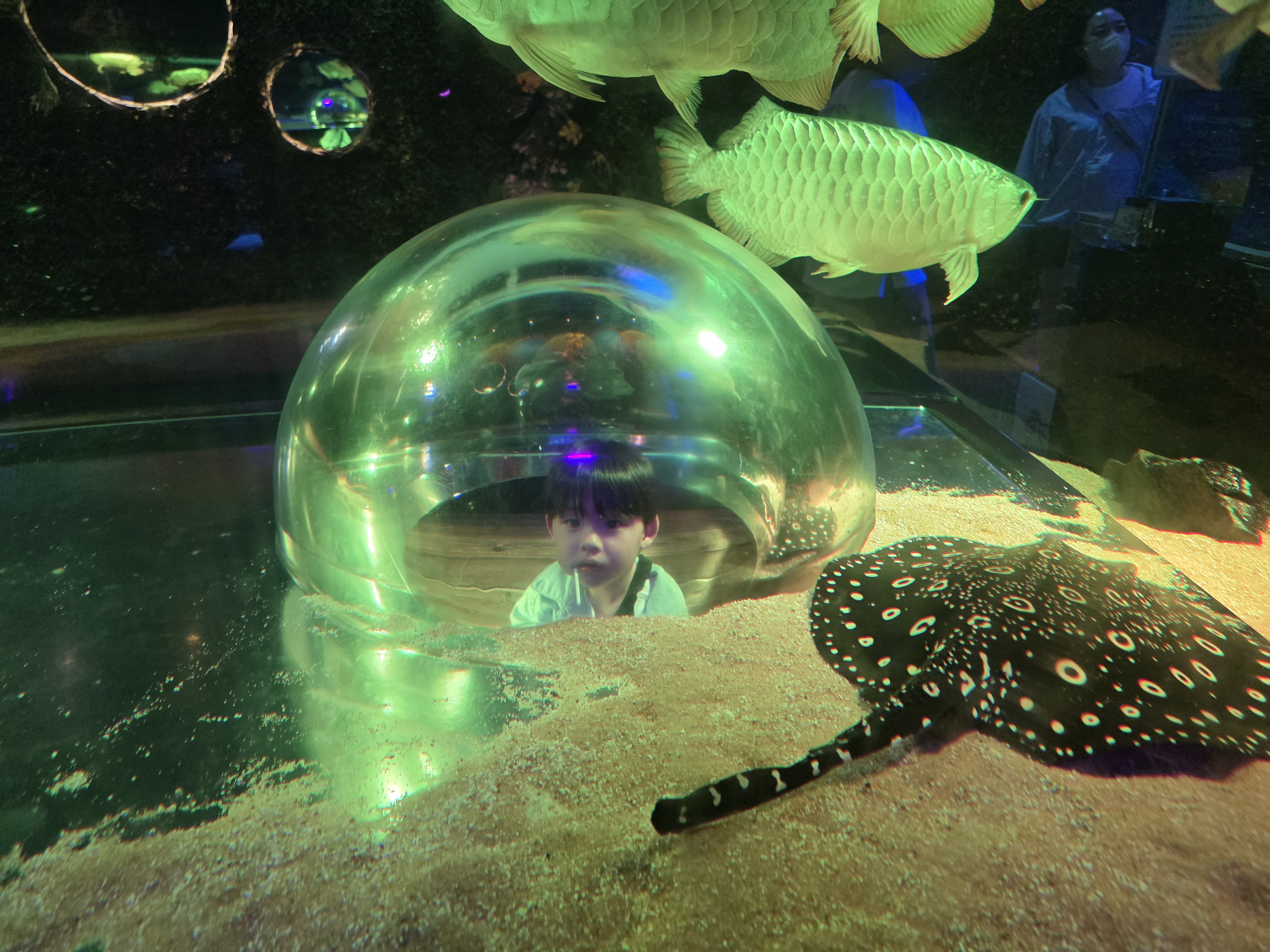 아쿠아플라닛 내부