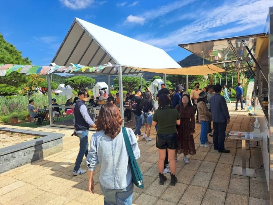 고창 핑크뮬리3